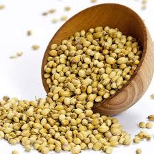 Dhania 100g